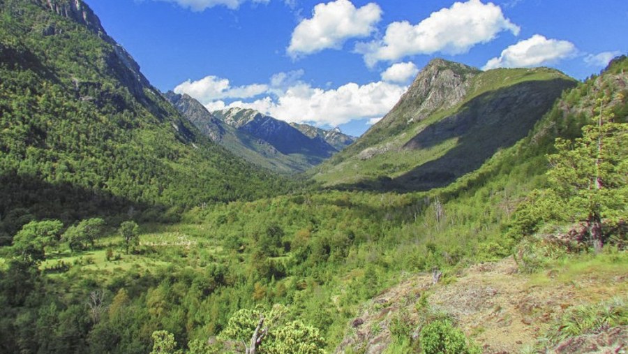 Reserva Nacional Ñuble