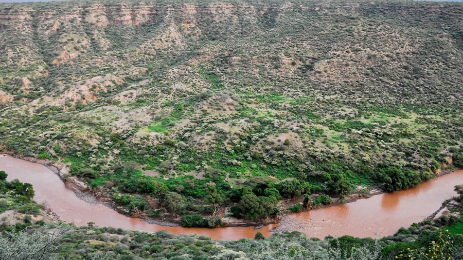 Awash National Park