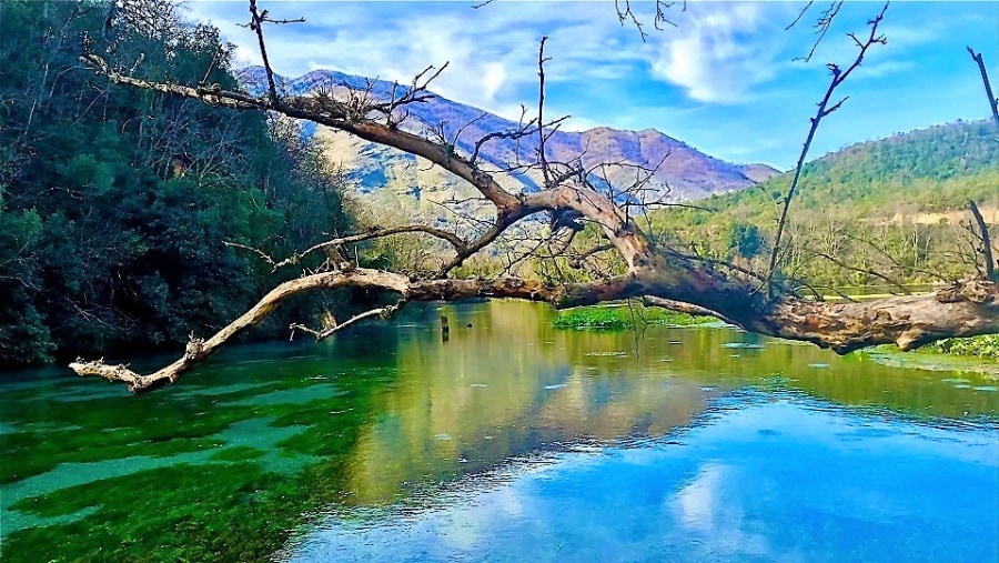 Blue Eye, Water Spring