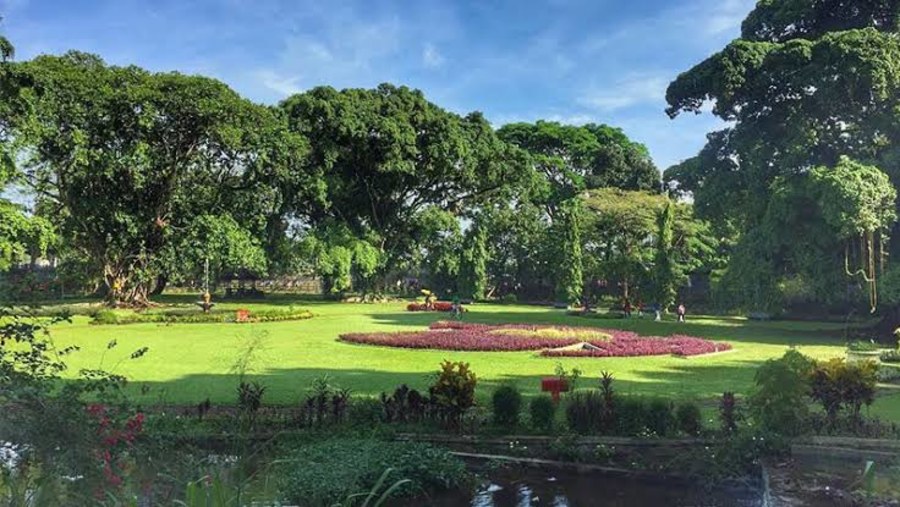 Stroll through the Botanical Garden