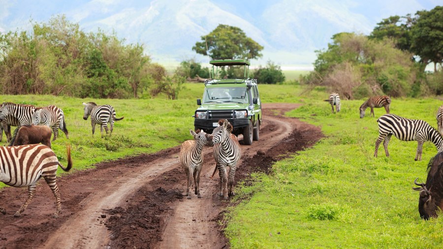 Game Drives through Ruaha National Park