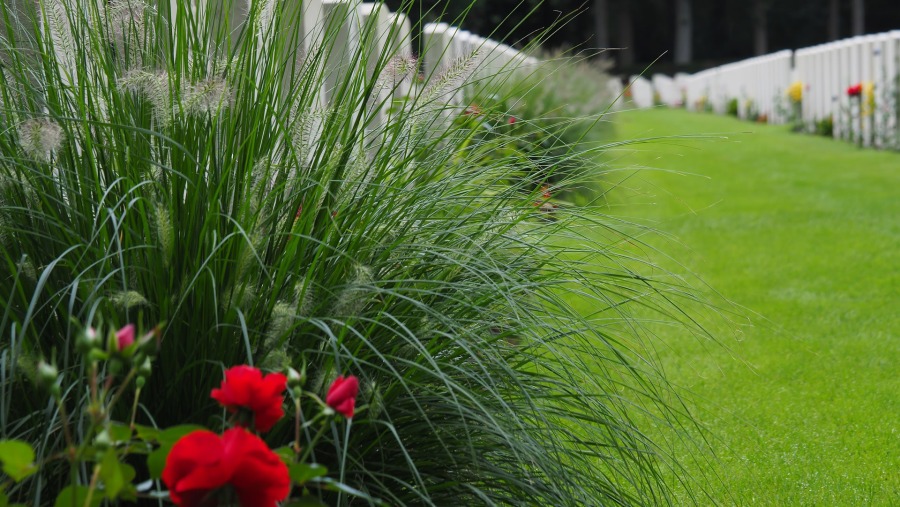 Visit a War Cemetery at Oosterbeek