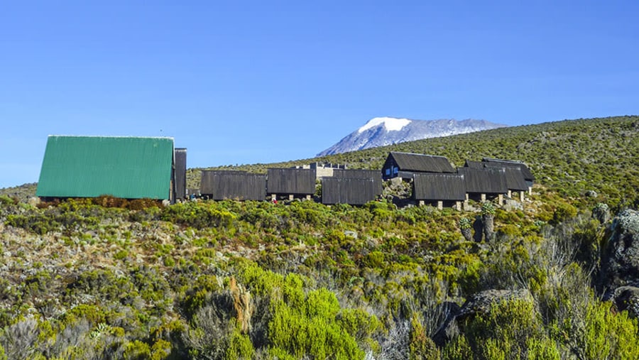 Trekking via the Marangu Route