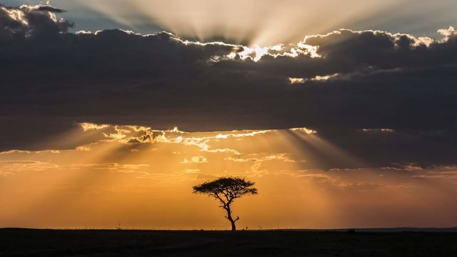 Sunset View, Masai Mara