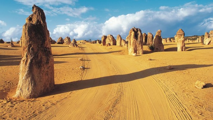 Visit Pinnacles Desert