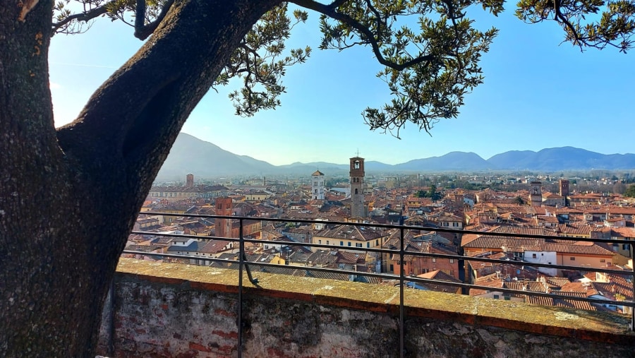 Historical centre from Guinigi Tower