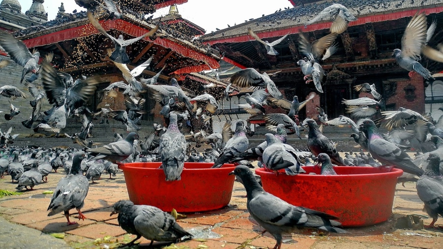 Durbar Square