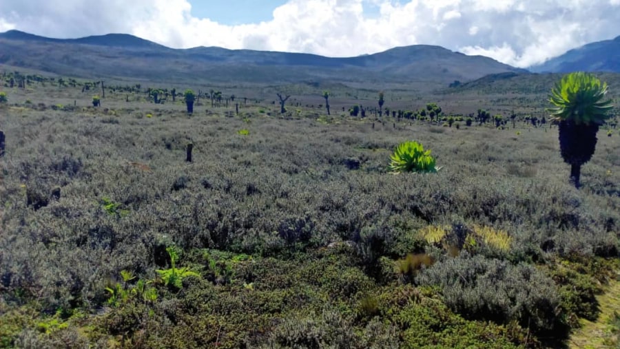 Uganda Hiking Safari - Mount Elgon, Africa