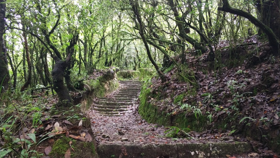 Shivapuri Nagarjun National Park