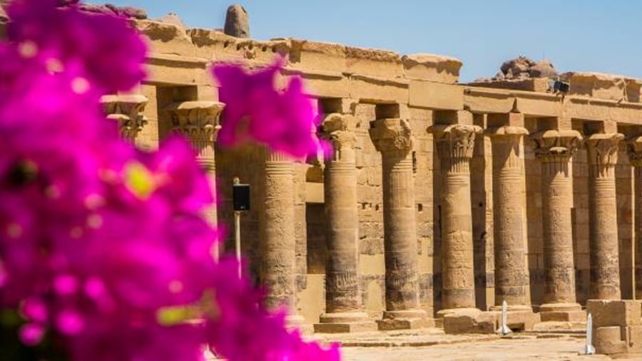 Admire the Philae Temple