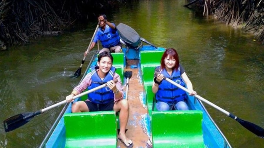 Mangrove Forest Tour on Sungai Sebong River