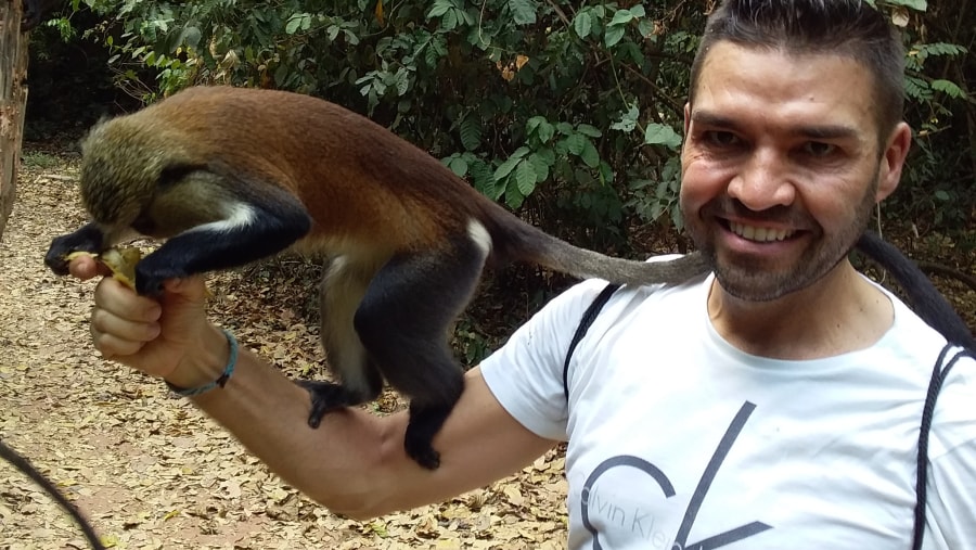 Tafi Atomi Monkey Sanctuary