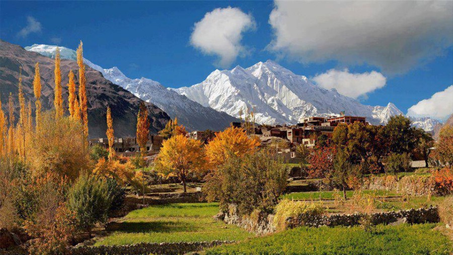 Fairy Meadows