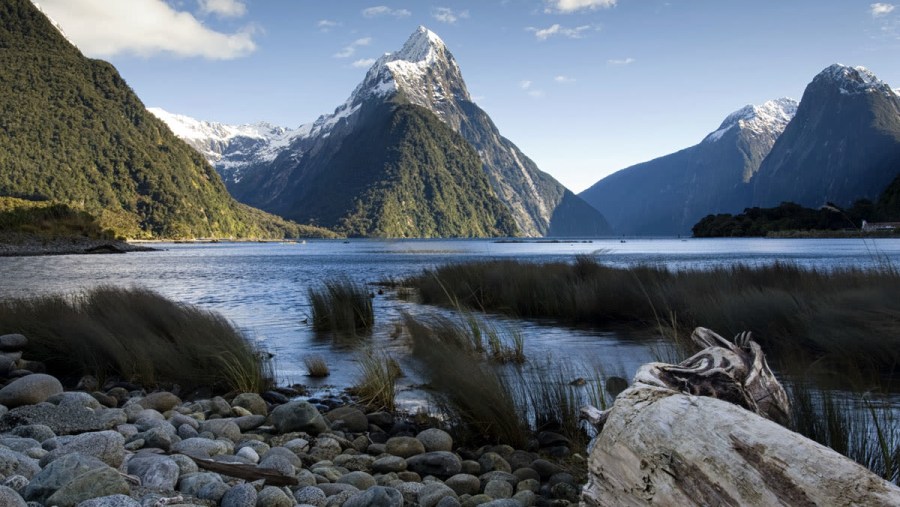 Milford Sound / Piopiotahi