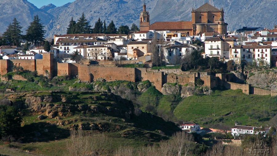 Visit the Popular Muralla Arabe Ronda