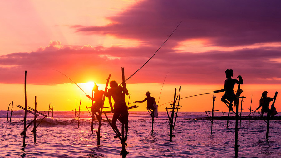 Stilt Fishermen