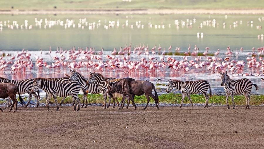 Lake Manyara National Park