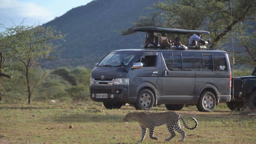 Safari Van 