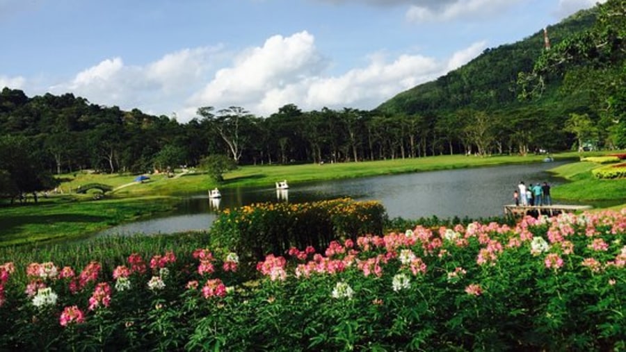 Admire the gorgeous botanical garden