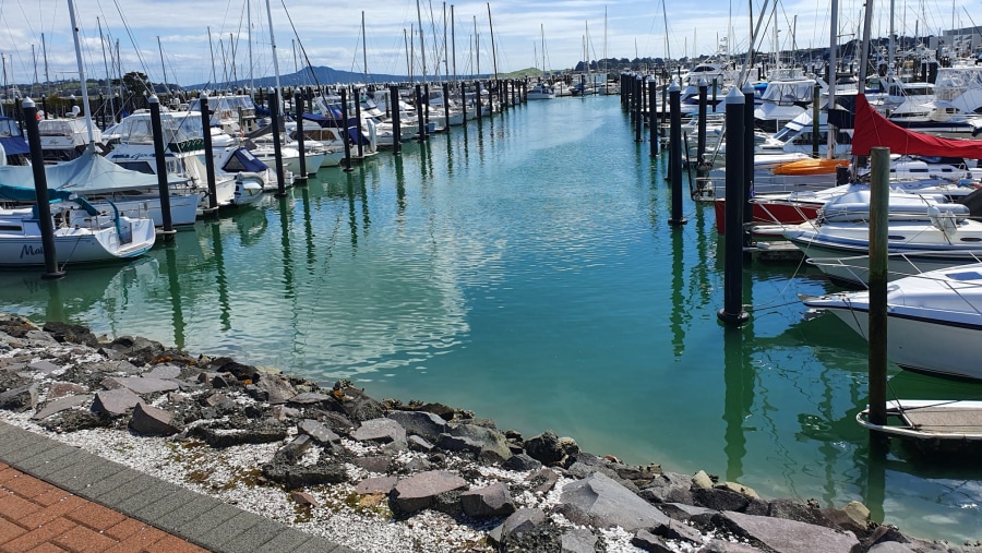 Picturesque view of Half Moon Bay