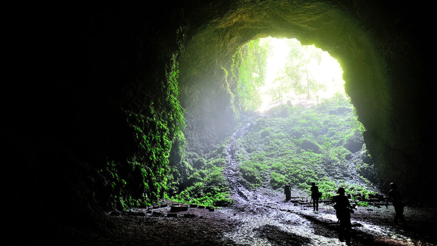 Jomblang Cave,Yogyakarta