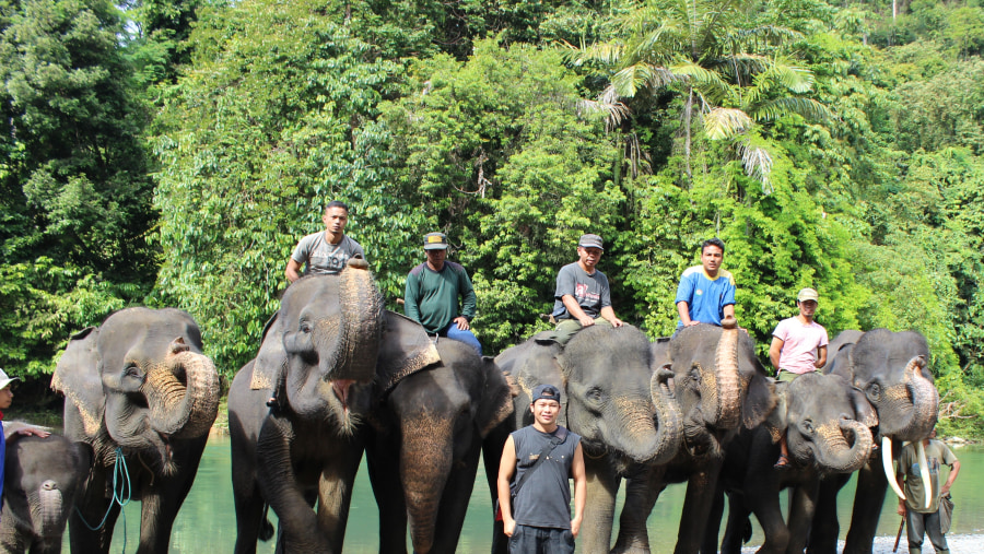 Tourists enjoying the tour