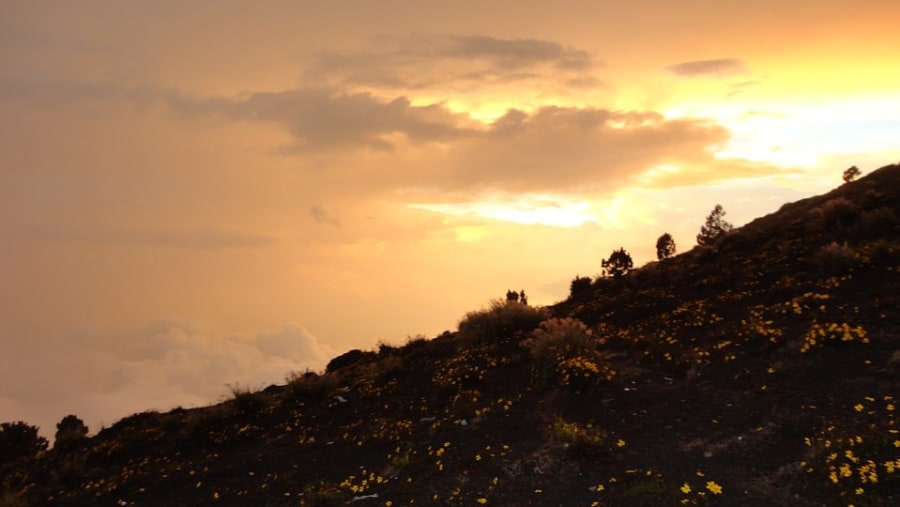 Trekking Trail To The Top Of Volcan de Fuego