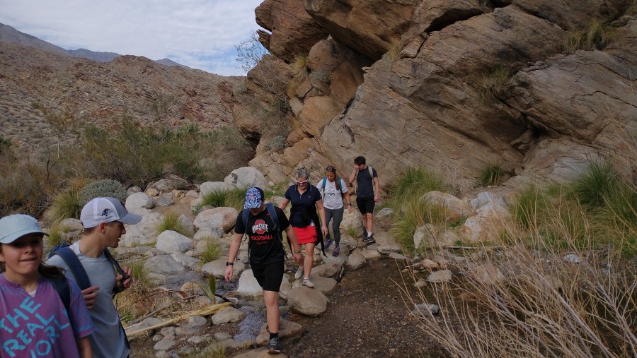 Travelers in Palm Springs