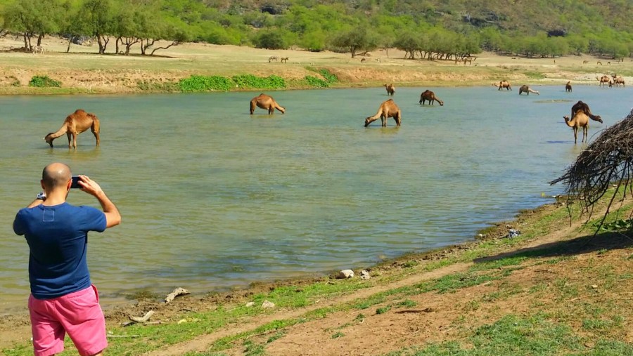 Wadi Derbat