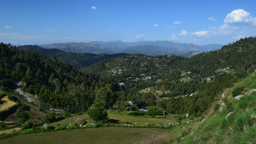 View Pine & Oak-Covered Mountains, Murree & Nathia Galliat, Pakistan