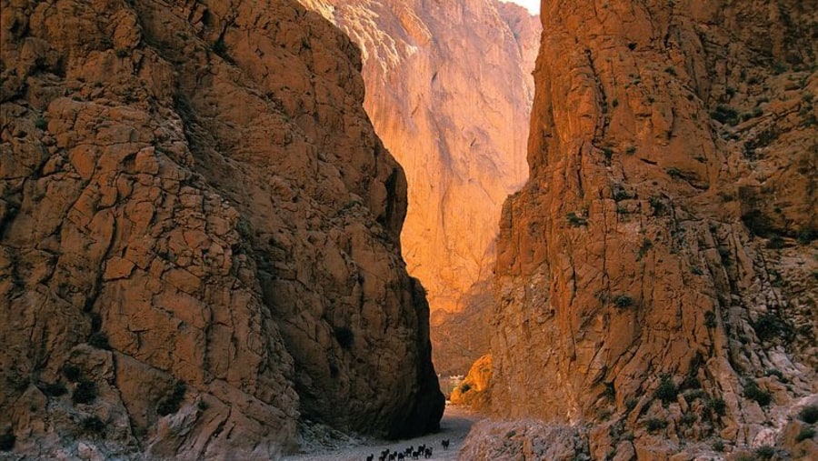 Todra Gorges