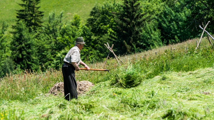 See Romanian Farmers at Work