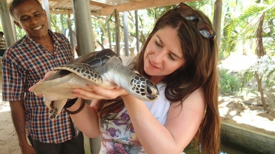 Turtle Hatchery