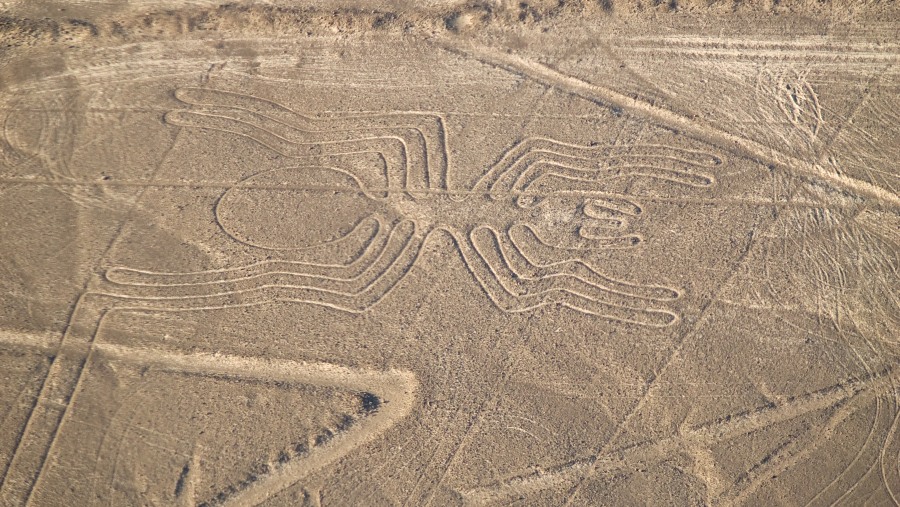 Views of the Nazca Line