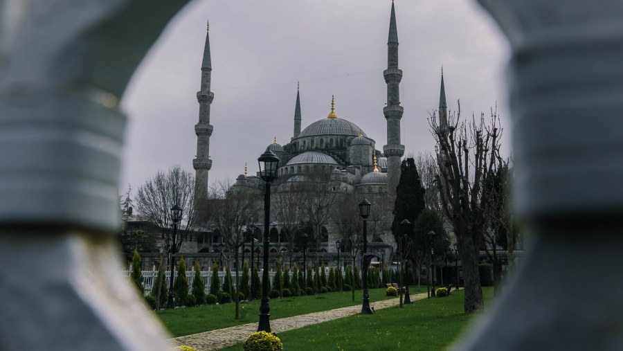 Admire Hagia Sophia in Istanbul