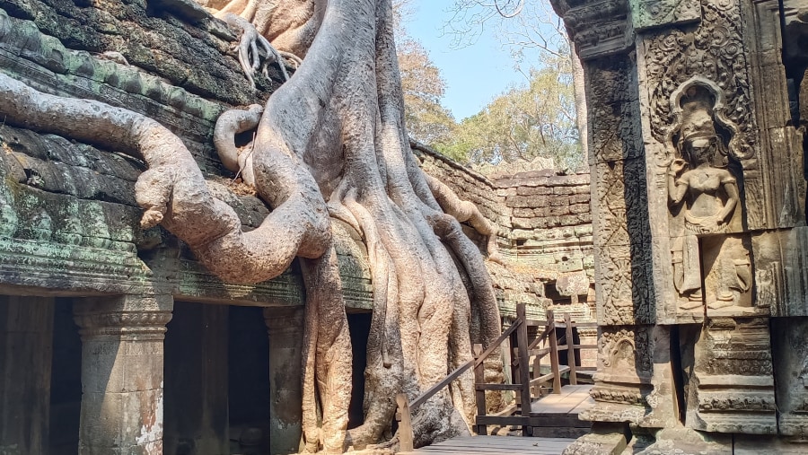 Ta Prohm