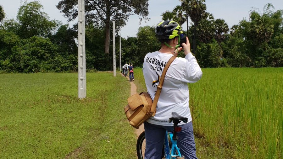 Rice paddy.