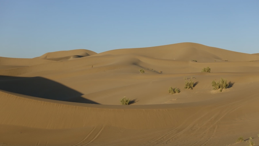 Varzaneh Desert