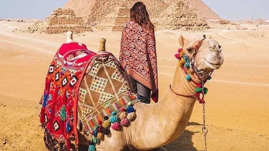 Camel Ride in Giza