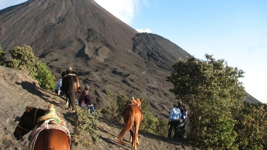 Hike to Volcan de Pacaya