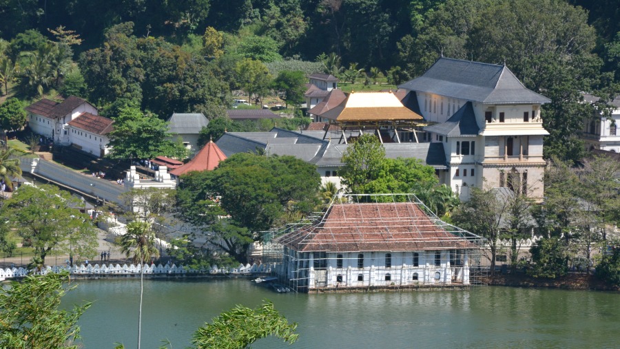 Temple of Tooth Surroundings