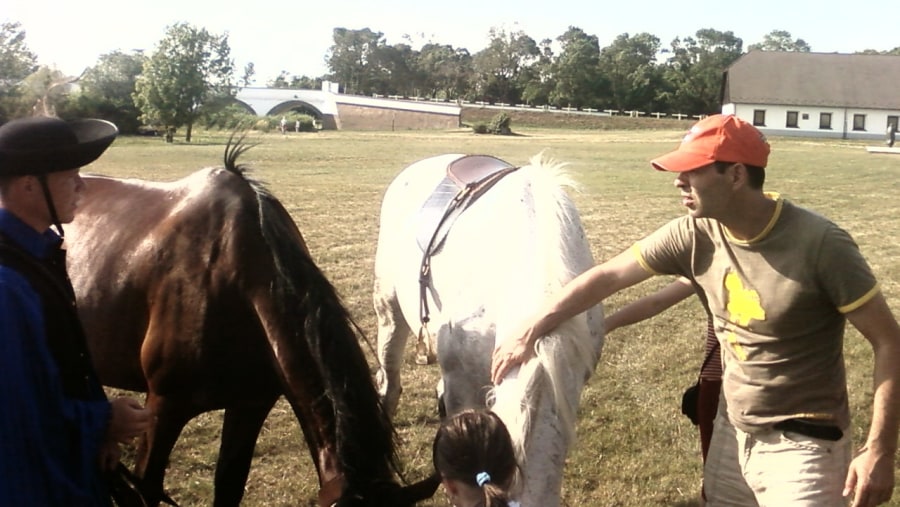 here you can learn a lot about horses and about lifestyle, how to work with them. There is a horse shows; this has to be seen.