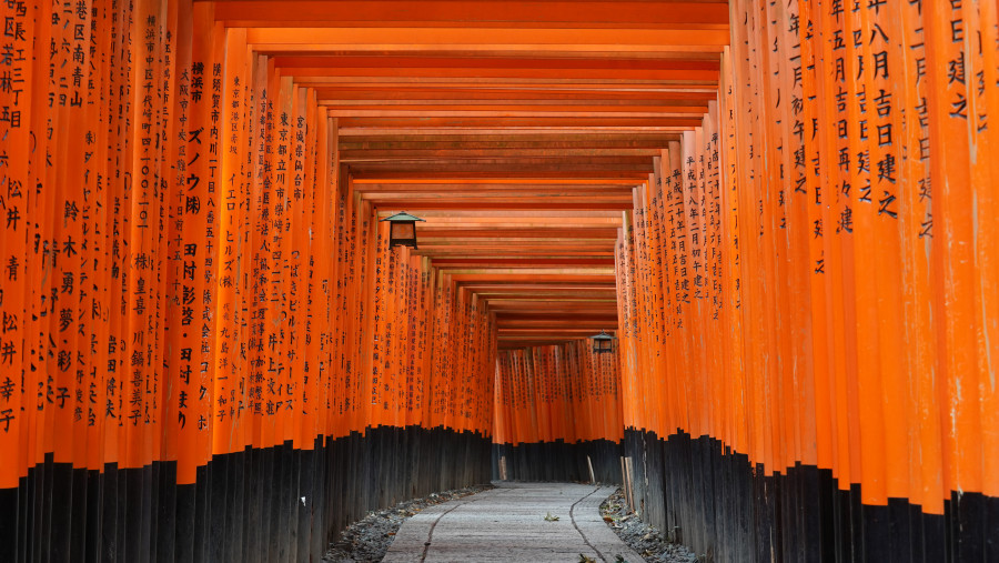 Marvel at the Fushimi Inari-taisha