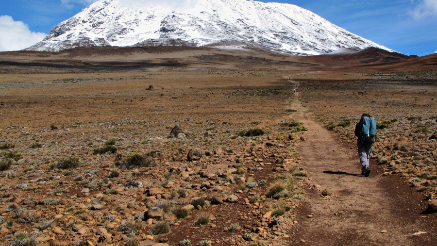 Towards Machame Route