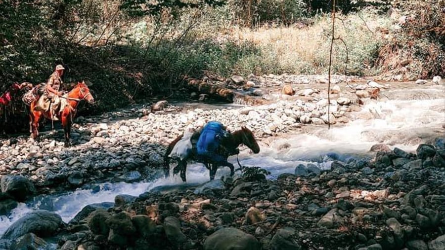 Enjoy horse riding