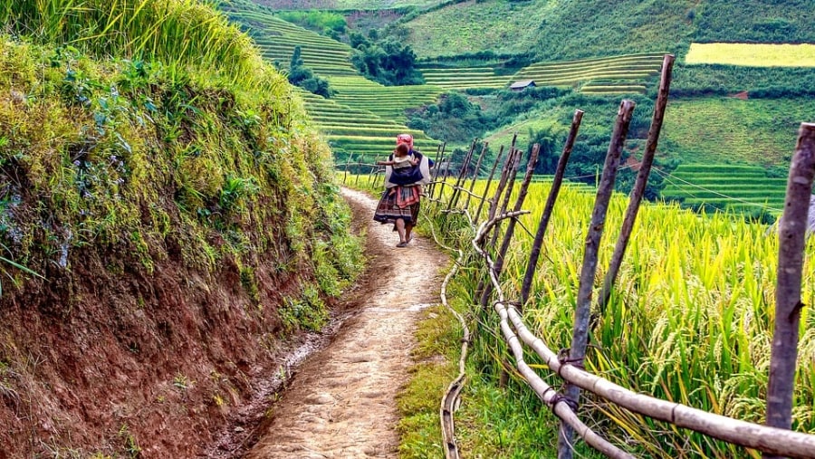 Trail to Lung Phinh, Vietnam