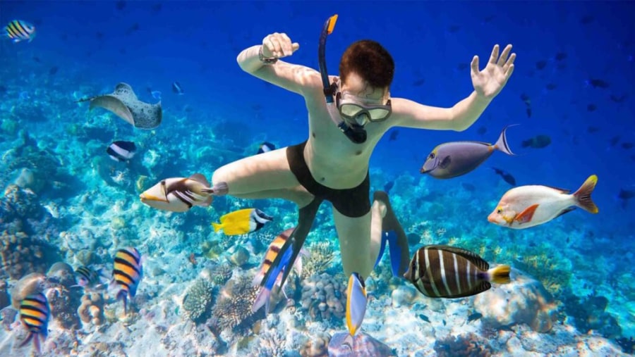 Tourist snorkeling with the sea life of the Red Sea