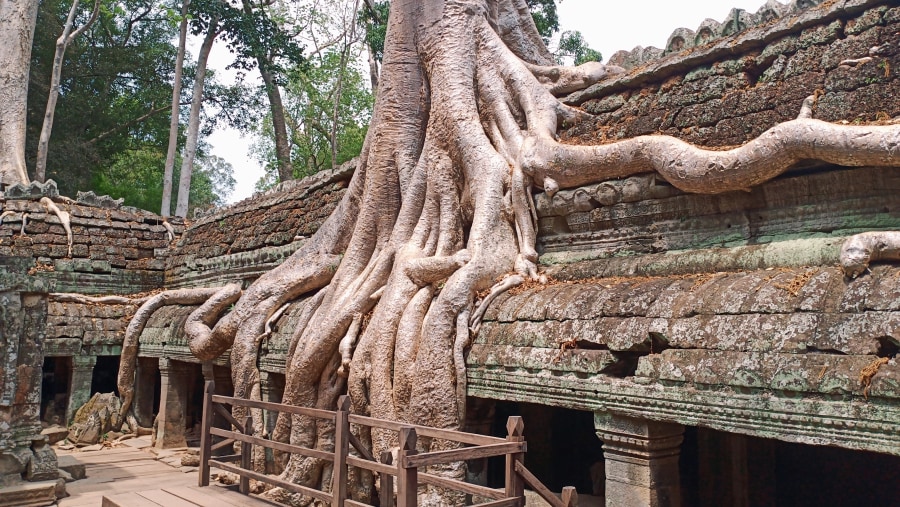 Ta Prohm