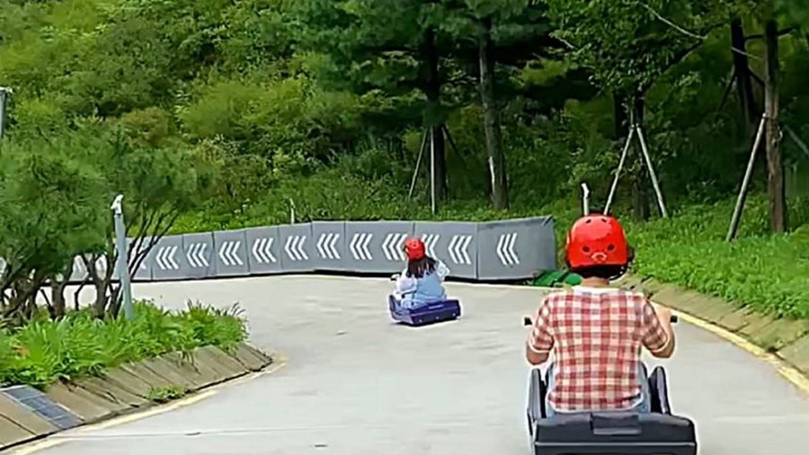 Luge