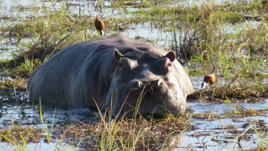 Mosi-oa-Tunya National Park